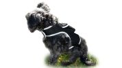 Get Realtime Location Update w/ Pet Tracker GPS Tracking Collars for Dogs Size:XL