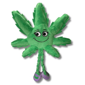 My Name is Mary Jane, Cute Stuffed Parody Marijuana Leaf Dog Toy, Funny Squeaky Weed Toy, Cool Plush Novelty 420 Gift for Puppies & Small, Medium & L