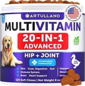 Dog Multivitamin Chewable with Glucosamine 20 in 1 Dog Vitamins and Supplements Senior & Puppy Multivitamin for Dogs Pet Joint Support Health Immunit