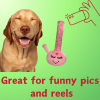 My Name is Harmony Bong, Funny Squeaky Weed Dog Toy, Cute Stuffed Parody Pot Bong, Cool Plush 420 Novelty Gift for Pets, Sized for Puppies & Small, M