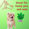 My Name is Lil' Mary Jane, Cute Stuffed Parody Marijuana Leaf Cat Toy, Funny Catnip Weed Theme Toy, Cool Plush Novelty 420 Gift for Cats & Kittens, P