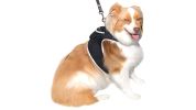 GSM GPS Realtime Pet Electronic Tracking System Waterproof Tracker NEW Size:L