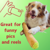 My Name is B, Cute Stuffed Parody Blunt Dog Toy, Funny Squeaky Weed Toy, Cool Plush Novelty 420 Gift for Pets & Their Owners, Sized for Puppies & Sma
