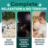 Hemp Calming Chews for Dogs Dog Anxiety Relief Treats with Hemp Oil Turmeric Valerian Ginger Health and Wellness Supplements for Dogs Hip and Joint S