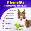 Dog Multivitamin Chewable with Glucosamine 20 in 1 Dog Vitamins and Supplements Senior & Puppy Multivitamin for Dogs Pet Joint Support Health Immunit